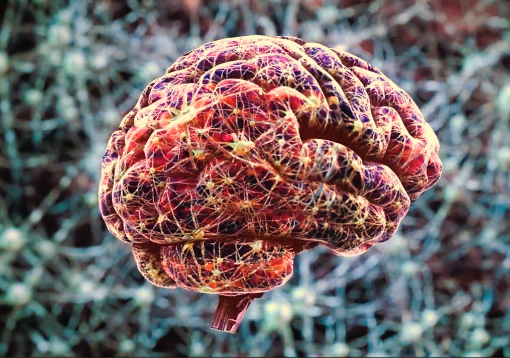 Screenshot 2025-10-12 211336 Farbe angepasst